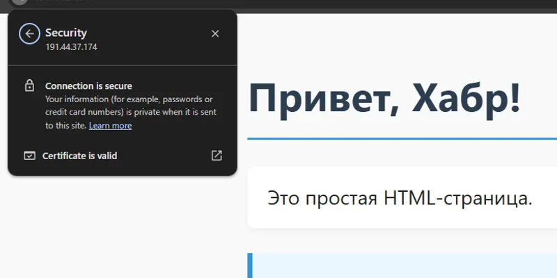 TLS-сертификат для IPv4-адреса: HTTPS без домена